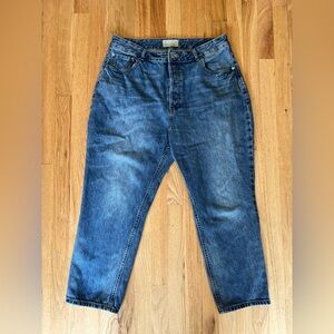 Everlane Curvy 90’s Cheeky Straight Jeans Sz 33 Crop